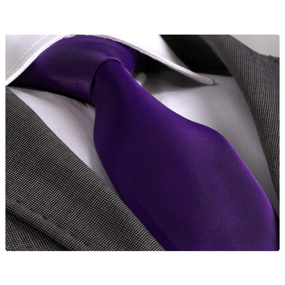 Solid Purpel With Paisley Silk Neck Tie